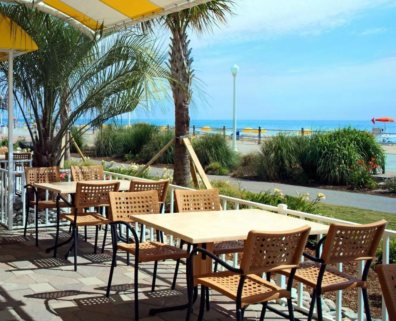 Sheraton Oceanfront Hotel Virginia Beach